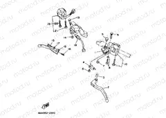 MANETAS