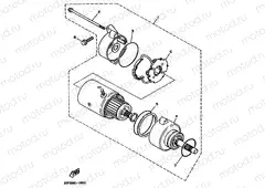 MOTOR DE ARRANQUE