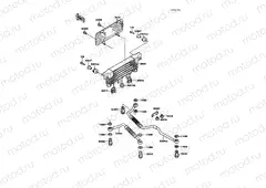 Oil Cooler