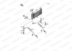 Oil Cooler