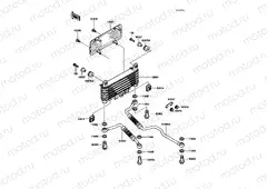 Oil Cooler
