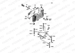 Oil Cooler