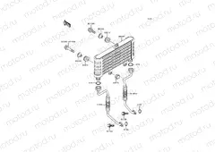 Oil Cooler