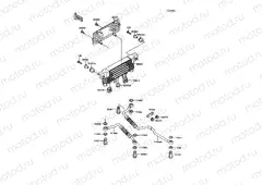 Oil Cooler