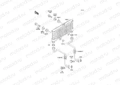 Oil Cooler