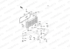 Oil Cooler