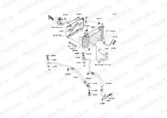 Oil Cooler
