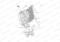 Oil Cooler