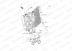 Oil Cooler
