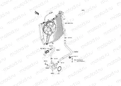 Oil Cooler