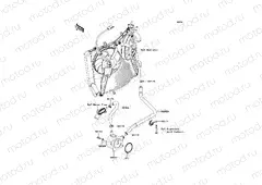 Oil Cooler
