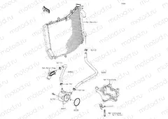 Oil Cooler
