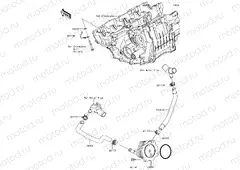 Oil Cooler