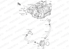 Oil Cooler