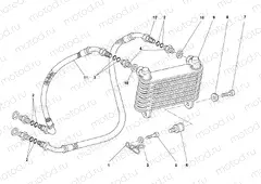 OIL COOLER