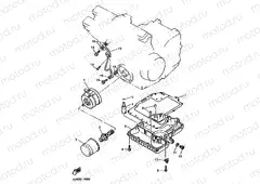 OIL COOLER
