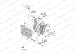 OIL COOLER