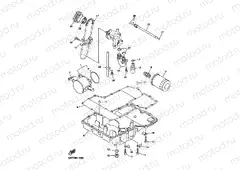 OIL COOLER