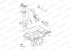 OIL COOLER