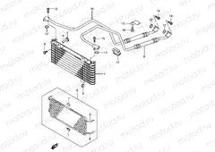 OIL COOLER
