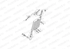Oil Cooler