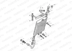 Oil Cooler