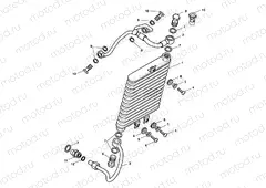 Oil Cooler