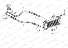 OIL COOLER DM 001365-009755 » LUBRICATION SYSTEM