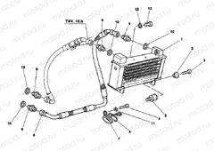 OIL COOLER DM 009756 » LUBRICATION SYSTEM