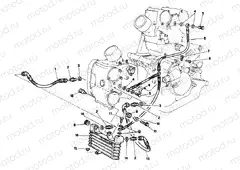 OIL COOLER » LUBRICATION SYSTEM