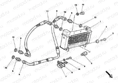 OIL COOLER » LUBRICATION SYSTEM