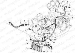 OIL COOLER » LUBRICATION SYSTEM
