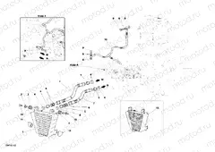 OIL COOLER » LUBRICATION SYSTEM