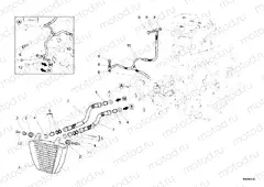 OIL COOLER » LUBRICATION SYSTEM