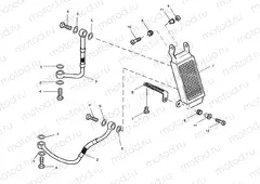 Oil Cooler Speed