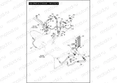 OIL LINES & COOLER - XR1200/X