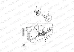 Oil pump 1 (5FA1)