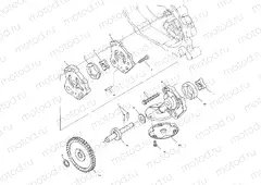 OIL PUMP - A00CH33AC (4959905990D010) | OIL PUMP - A00CH33AC (4959905990D010)