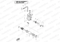 Oil Pump Assembly (4911991199046A) | Oil Pump Assembly (4911991199046A)