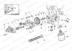 OIL PUMP - FILTER » LUBRICATION SYSTEM