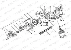 OIL PUMP - FILTER » LUBRICATION SYSTEM