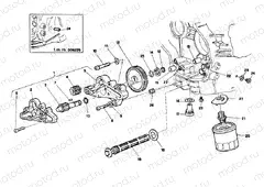 OIL PUMP - FILTER » LUBRICATION SYSTEM