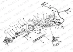 OIL PUMP - FILTER » LUBRICATION SYSTEM