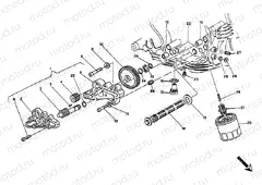 OIL PUMP - FILTER » LUBRICATION SYSTEM
