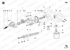 OIL PUMP - FILTER » LUBRICATION SYSTEM