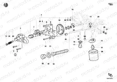 OIL PUMP - FILTER » LUBRICATION SYSTEM