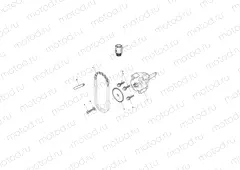 Oil Pump/Drive