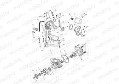 Oil Pump/Drive