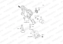 Oil Pump/Oil Filter