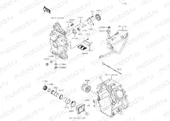 Oil Pump/Oil Filter